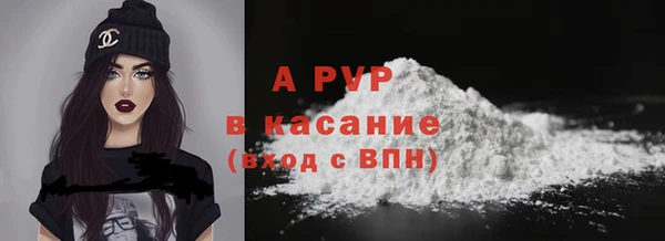 гашик Надым