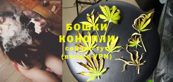 гашик Надым