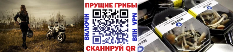 Галлюциногенные грибы Psilocybine cubensis  что такое наркотик  маркетплейс Telegram  Курганинск 