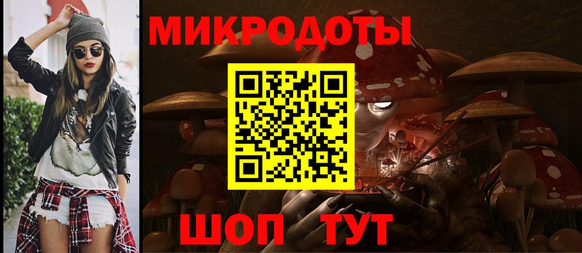 Псилоцибиновые грибы мицелий Курганинск