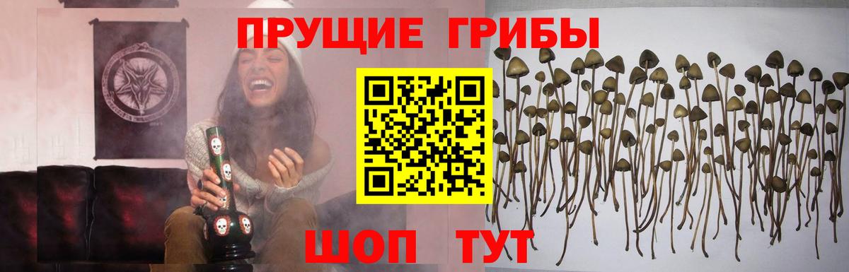 Галлюциногенные грибы мухоморы  Вход с VPN  Курганинск 